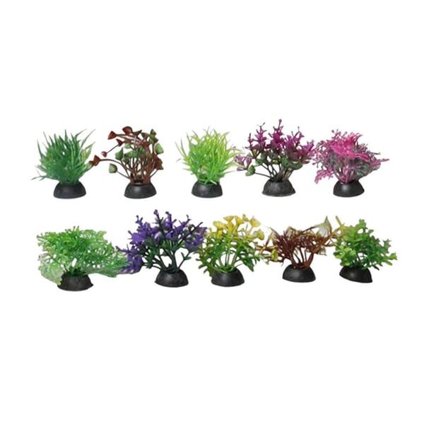 Zampa Karışık Akvaryum Bitkisi 3 cm, 20'li paket