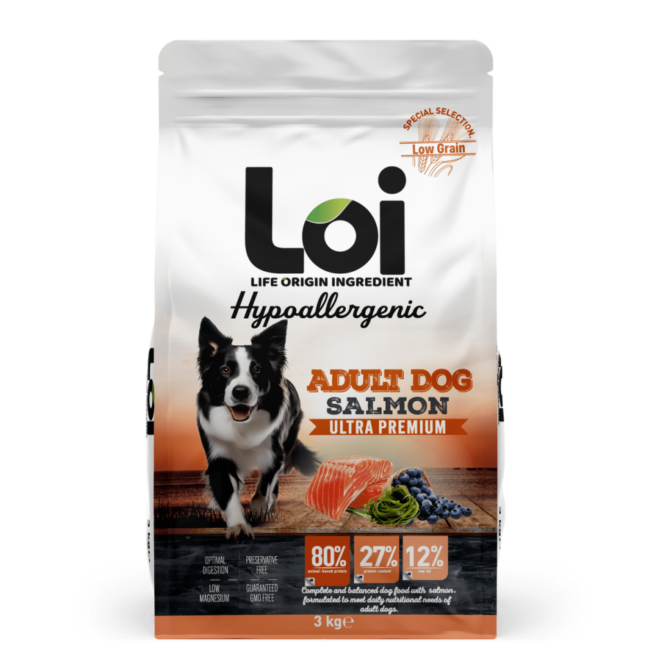 LOI ADULT KÖPEK SOMONLU 3 KG