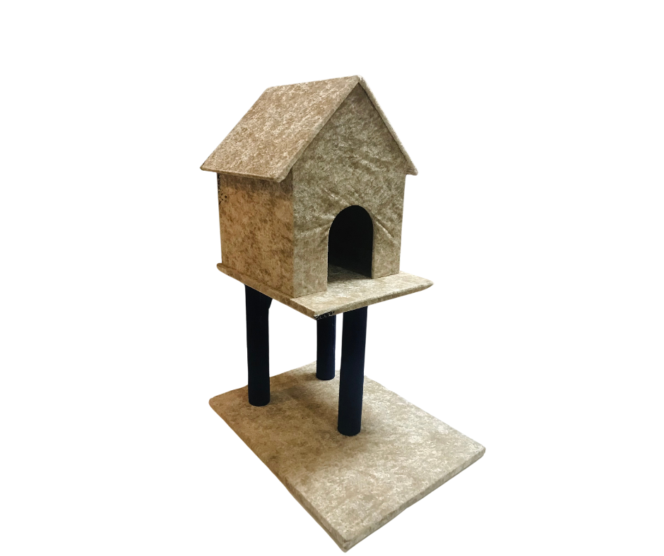 Kedi Evi Katlı