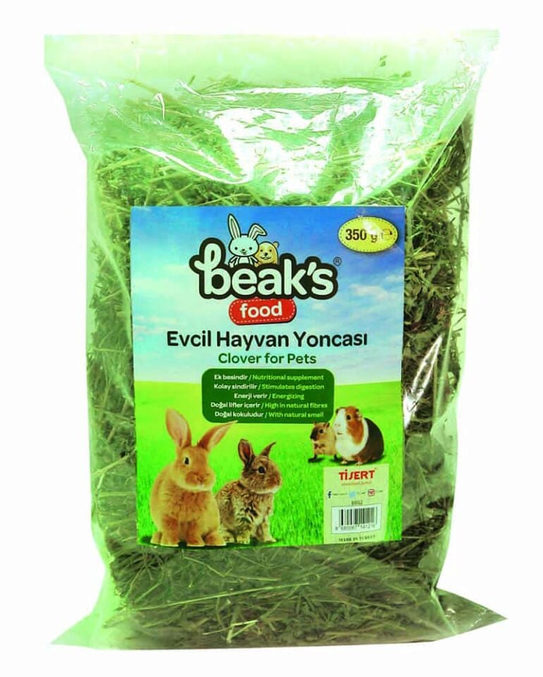 Kemirgen Yoncası