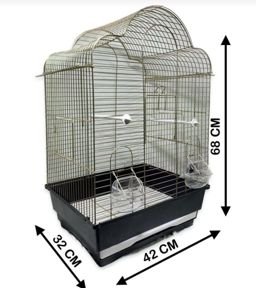 PARAKET KAFES PAPATYA