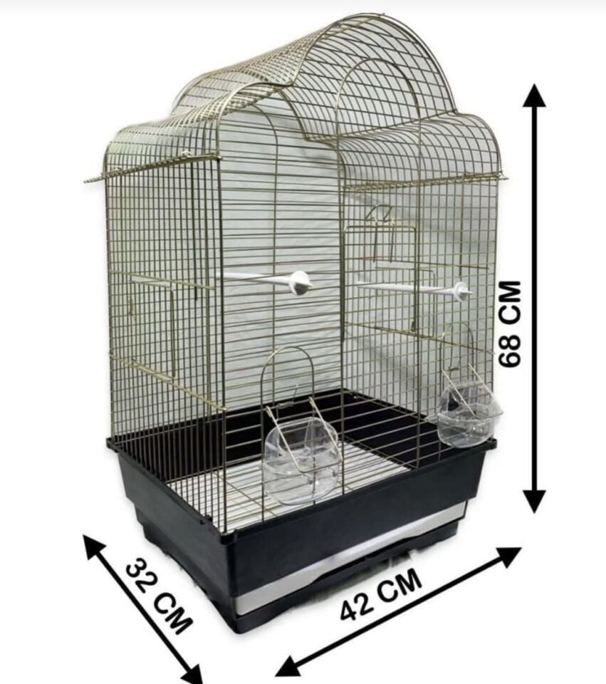 PARAKET KAFES PAPATYA