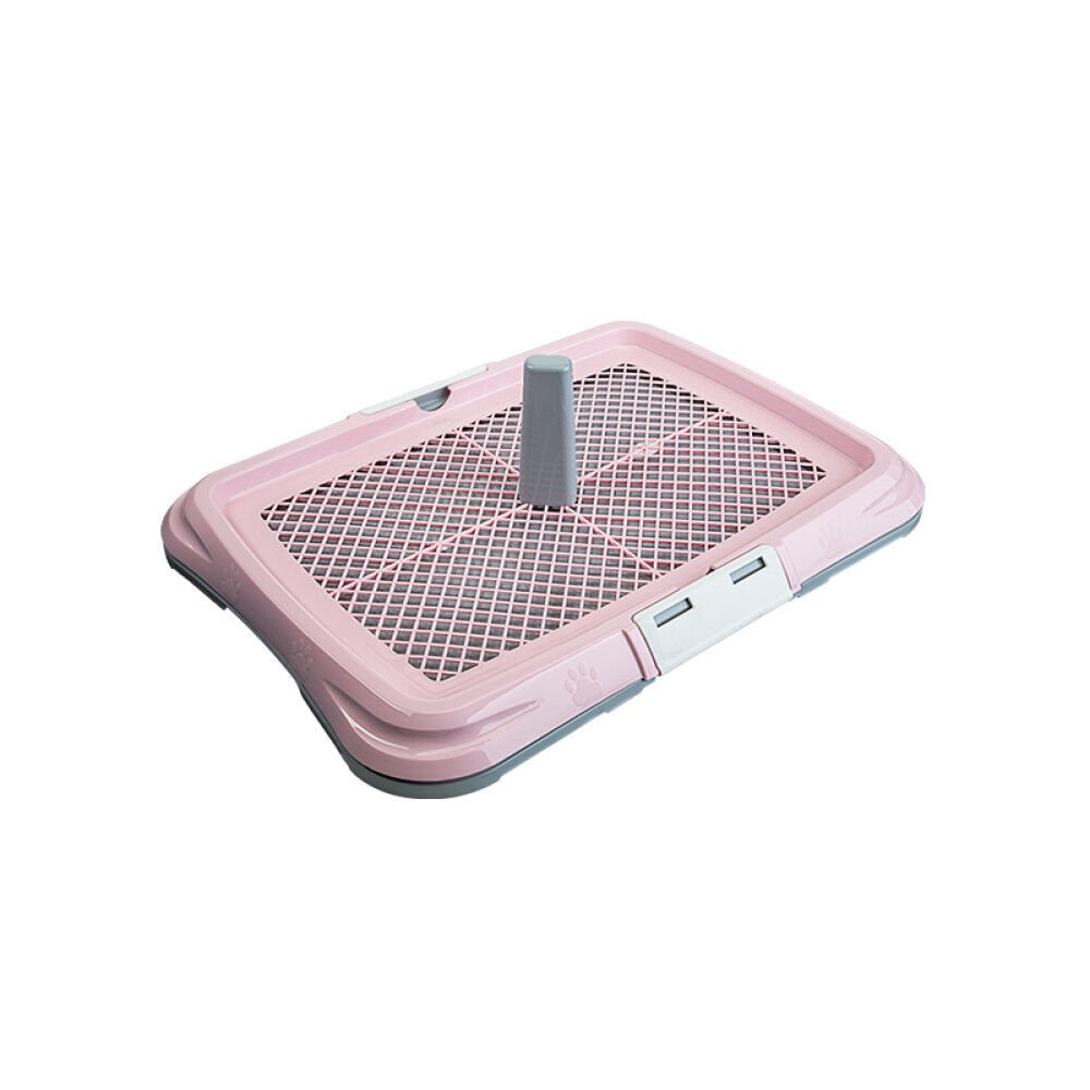 Küçük Akıllı Köpek Tuvaleti