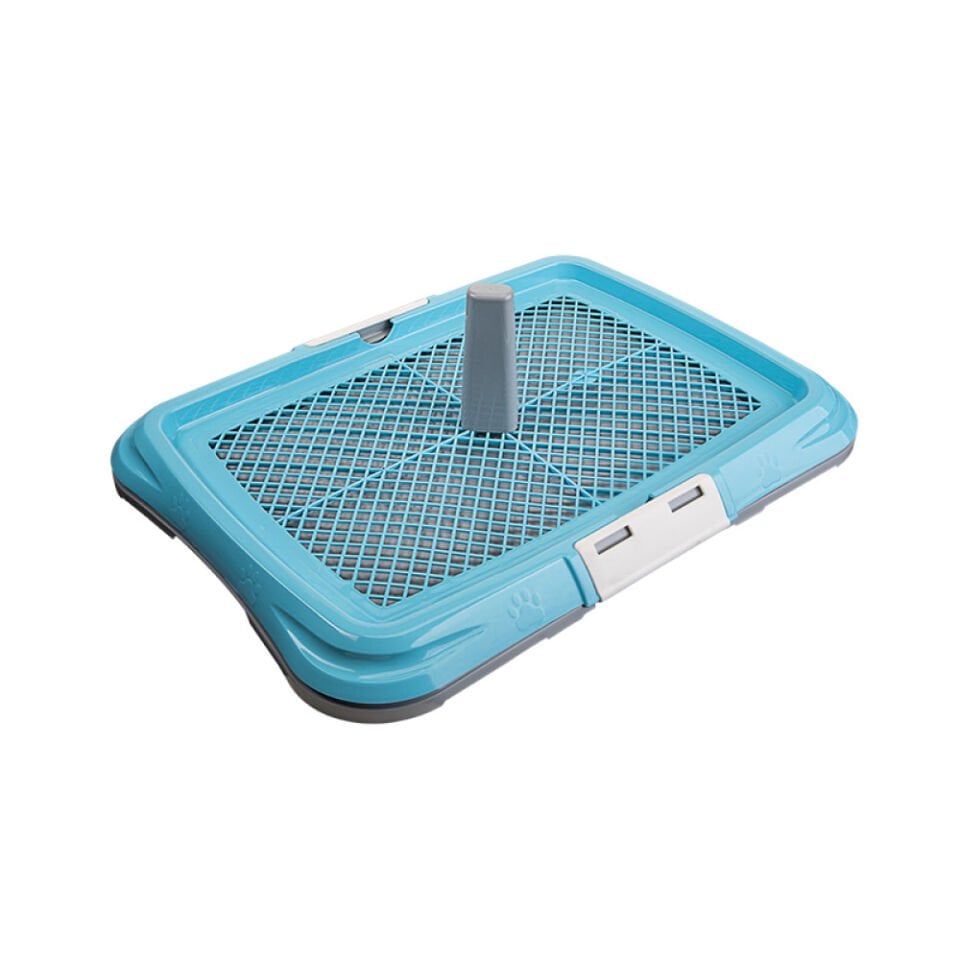 Küçük Akıllı Köpek Tuvaleti