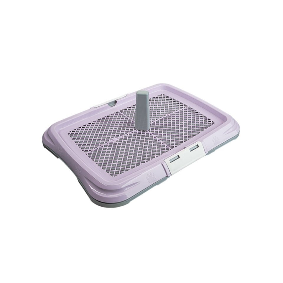 Küçük Akıllı Köpek Tuvaleti