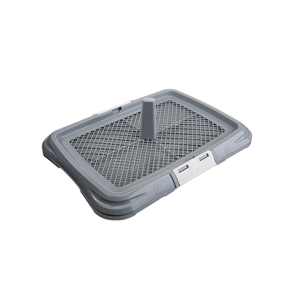 Küçük Akıllı Köpek Tuvaleti