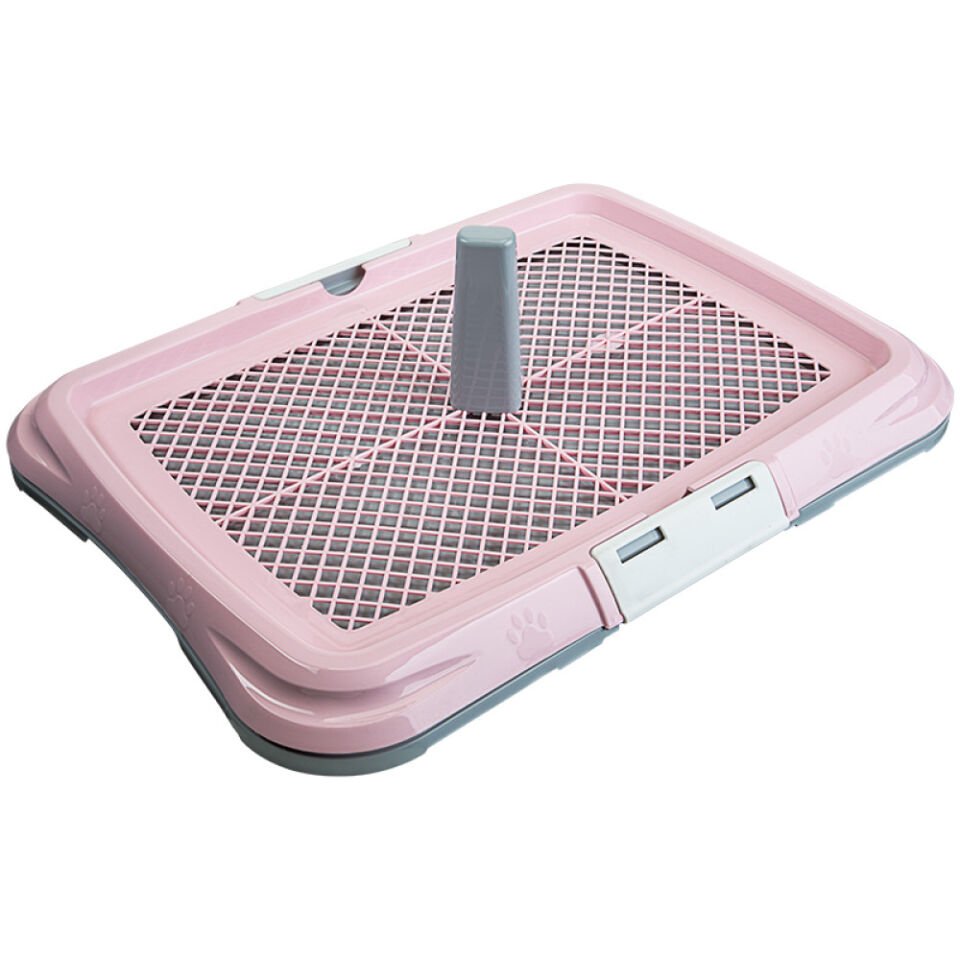 Büyük Akıllı Köpek Tuvaleti