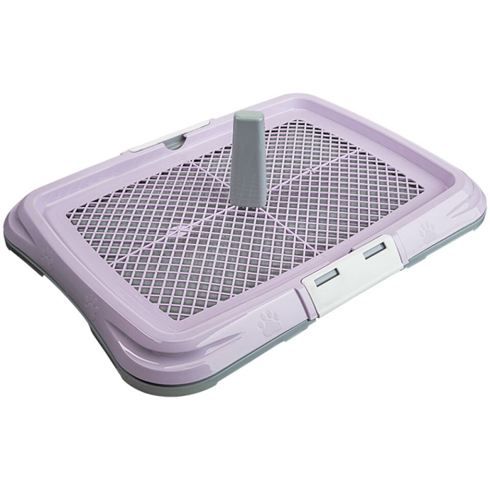 Büyük Akıllı Köpek Tuvaleti