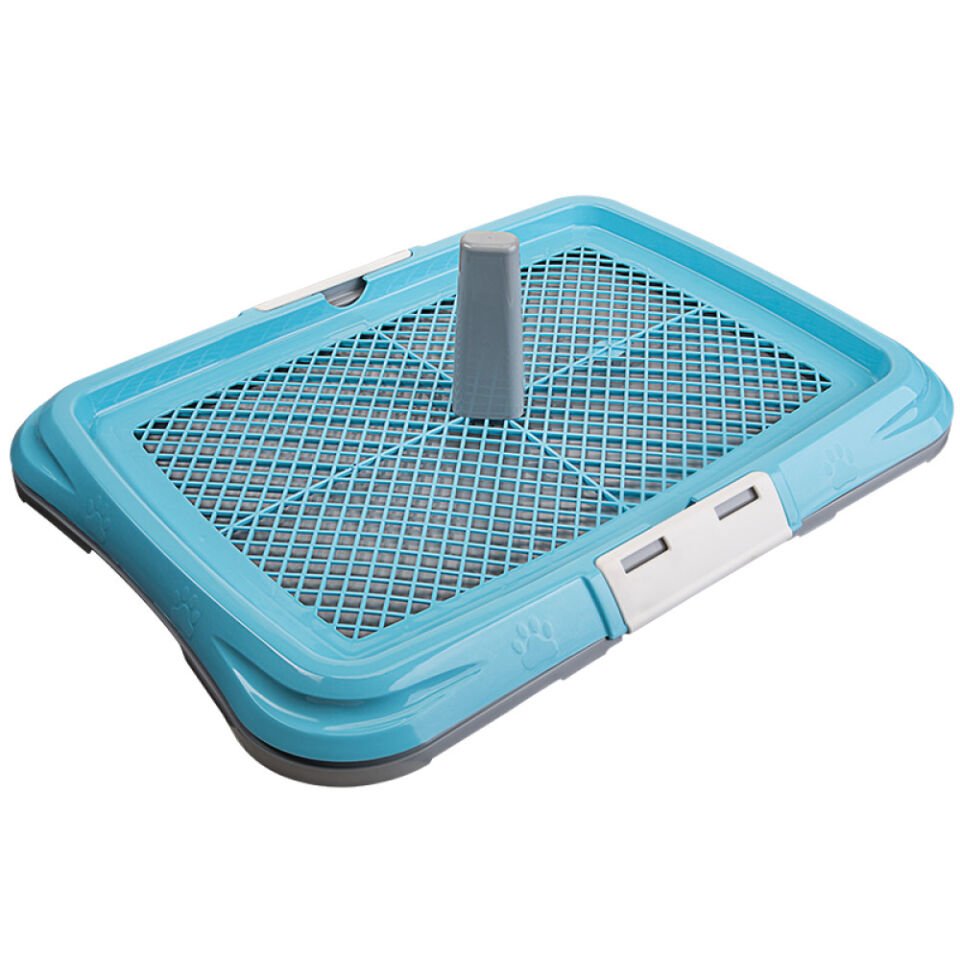 Büyük Akıllı Köpek Tuvaleti