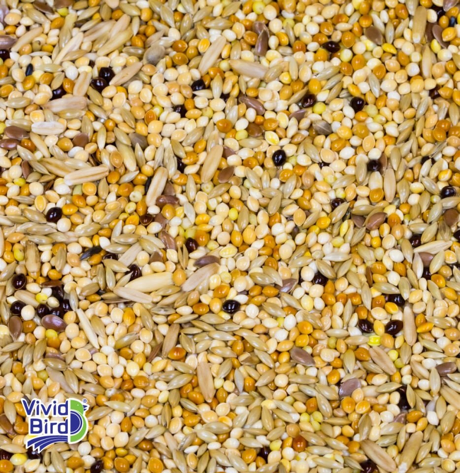 VİVİD EKO KARIŞIK MUHABBET YEMİ 25 KG