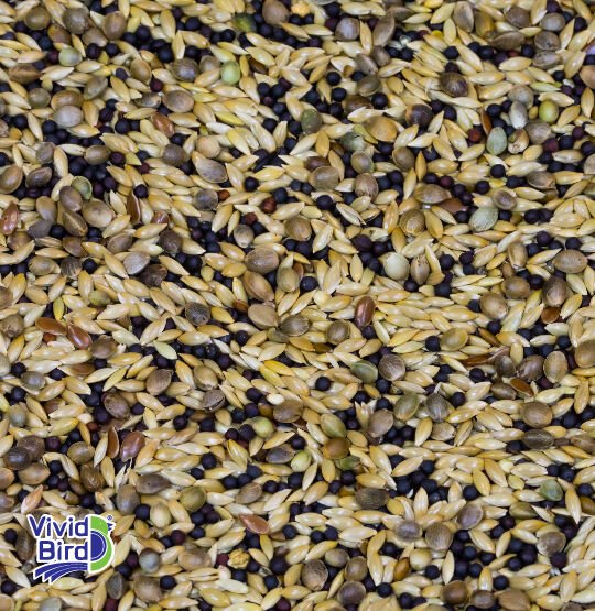 VİVİD STANDART KANARYA YEMİ 20 KG