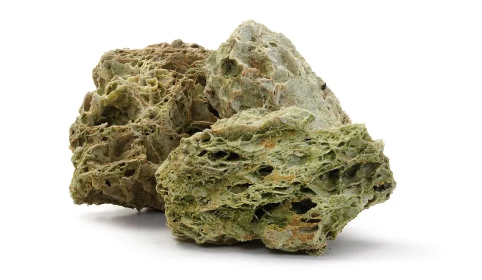 AKVARYUM KAYA ÖRÜMCEK 10 KG