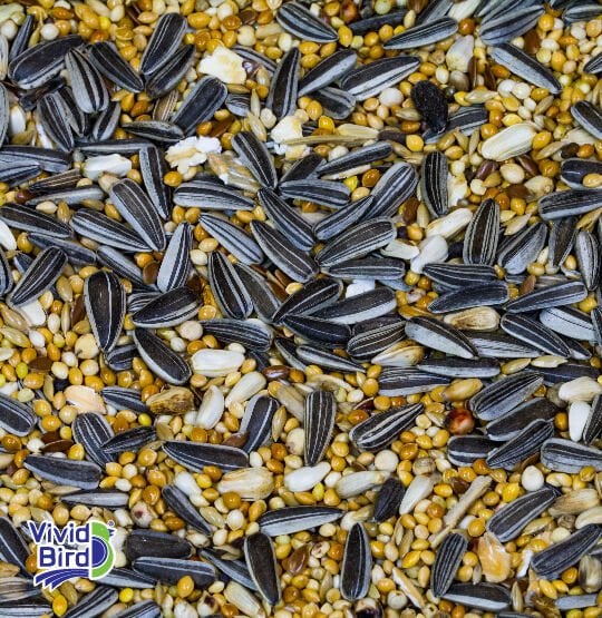 VİVİD PARAKET YEMİ MEYVESİZ 20 KG