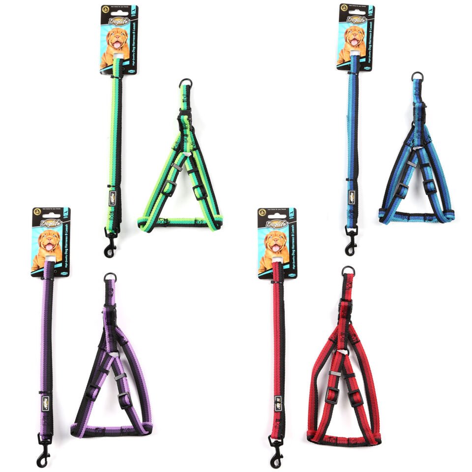 DOGLİFE KÖPEKLER İÇİN DESENLİ GÖĞÜS TASMASI+GEZDİRME 1,5CM