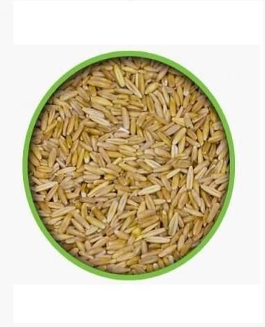 VİVİD İÇ YULAF 25 KG