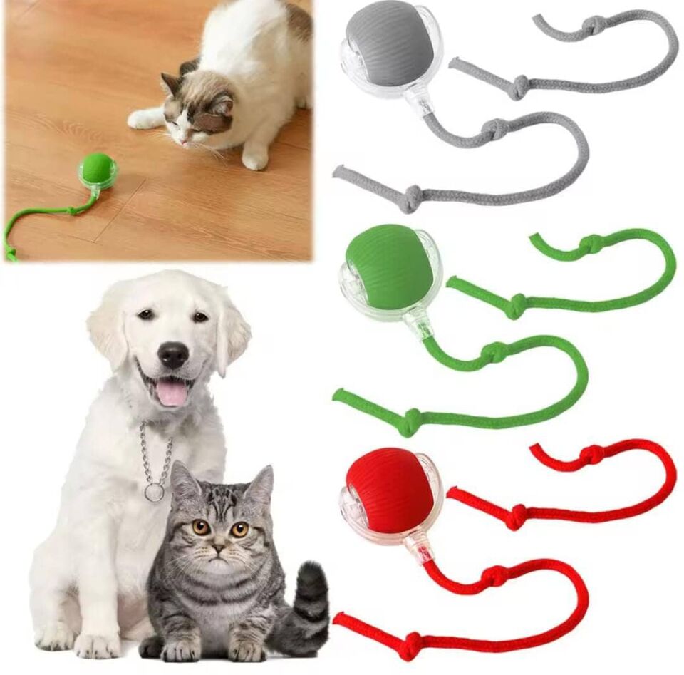 Evcil Hayvan İpli USB Şarjlı Hareketli Top
