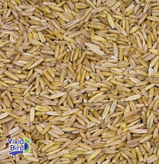 VİVİD İÇ YULAF 10 KG