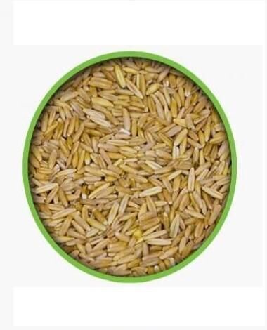 VİVİD İÇ YULAF 10 KG