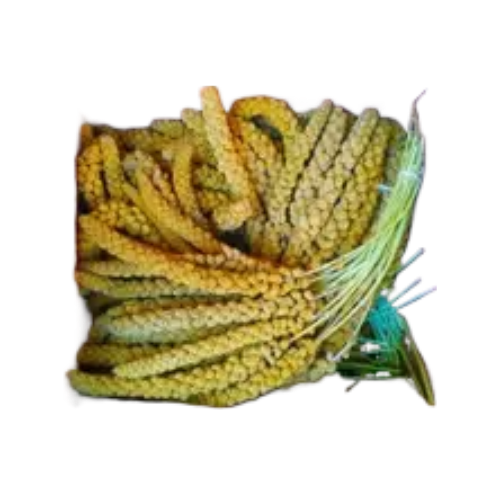 DAL DARI POŞET 500 GR