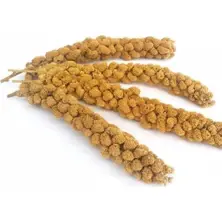 DAL DARI POŞET 500 GR