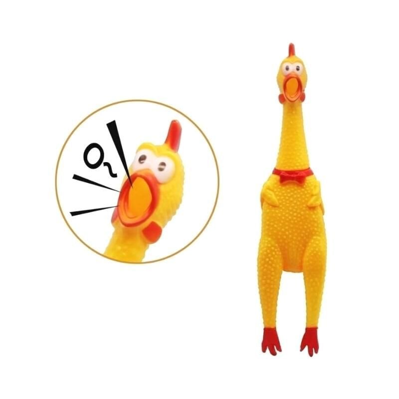 öten tavuk medium