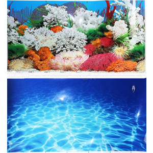 AKVARYUM POSTER 40CM   15MT