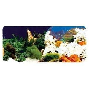 AKVARYUM POSTER  60CM   15MT