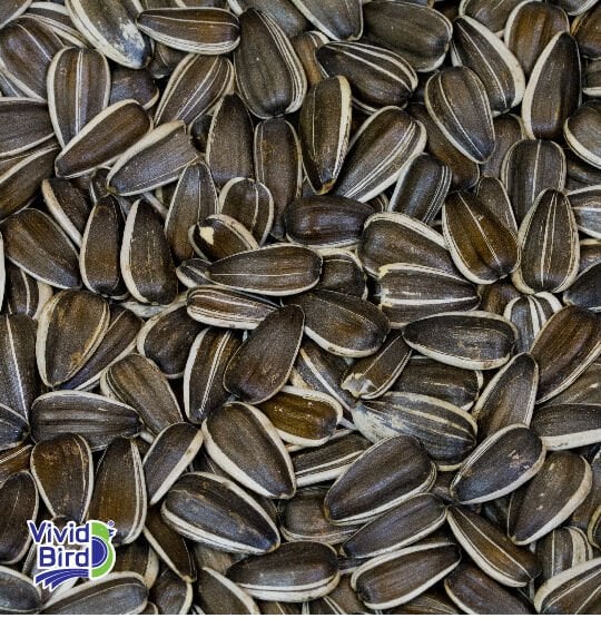 DAKOTA ÇEKİRDEK ÇUVAL 15KG