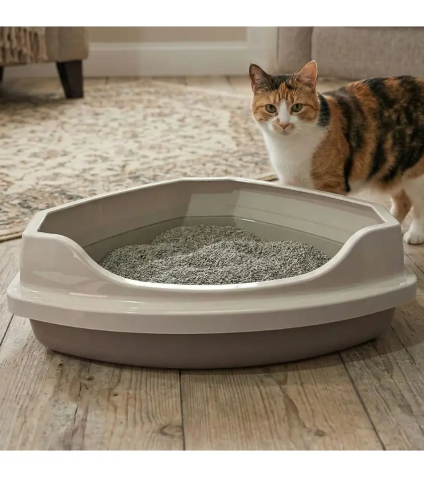 Üçgen Açık Tuvalet