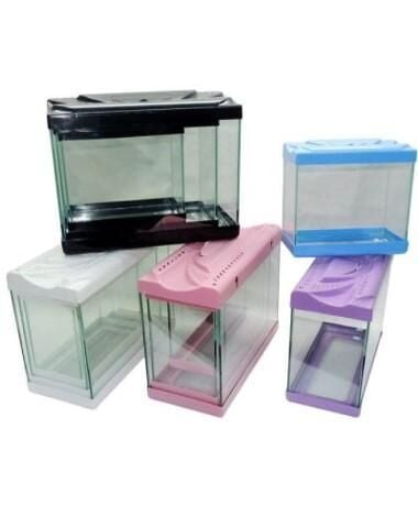 RENKLİ PLASTİK ÇERÇEVELİ AKVARYUM SETİ 3'LÜ